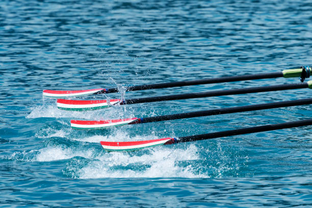Four Rowing Oars in the Action Front view of four rowing oars rowing stock pictures, royalty-free photos & images