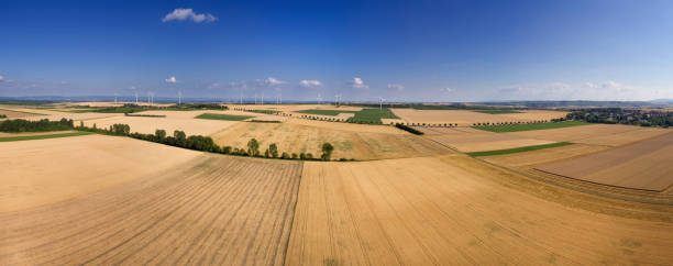 istock German landscape - Rheinhessen 998699038