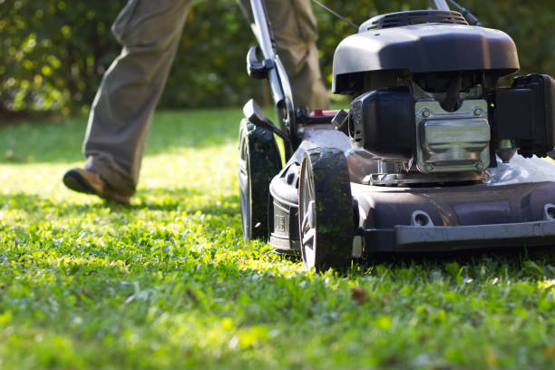 istock lawn mower during the mowing grass in garden 998702818