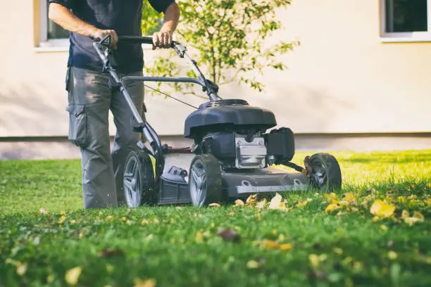 Photo of Mowing the grass with a lawn mower in early autumn.