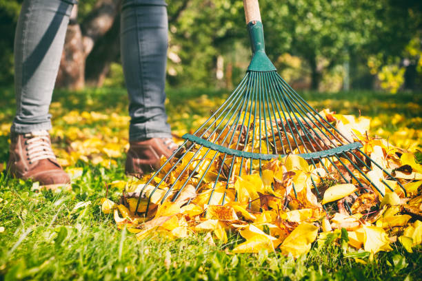 mujer de jardinero rastrillar las hojas de otoño en el jardín. mujer de pie con rastrillo. - rastrillo artículos de jardín fotografías e imágenes de stock