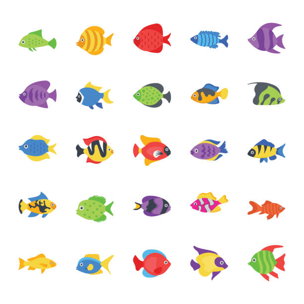Fishes Flat Vector Icons Set This fishes flat vector icons pack is ranging different fishes that are beautifully designed pack to enhance your knowledge regarding them. Grab the pack and enjoy life of marine animals. chromis stock illustrations