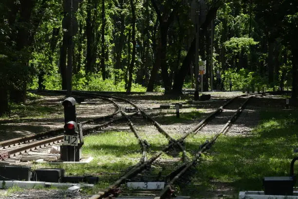 Kiev, Ukraine - May 19, 2018: Railroad tracks. The traffic light is red in the forest.