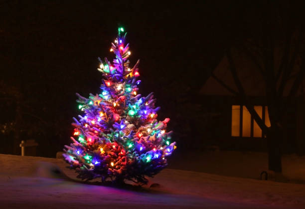 piękne małe jodła na świeżym powietrzu urządzone na sezon zimowy. - christmas window magic house zdjęcia i obrazy z banku zdjęć