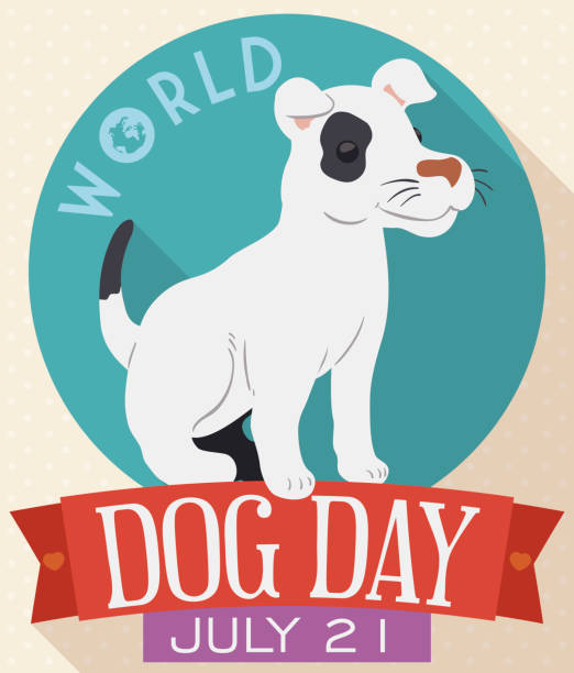 ilustrações de stock, clip art, desenhos animados e ícones de design in flat style with puppy celebrating dog day - late afternoon
