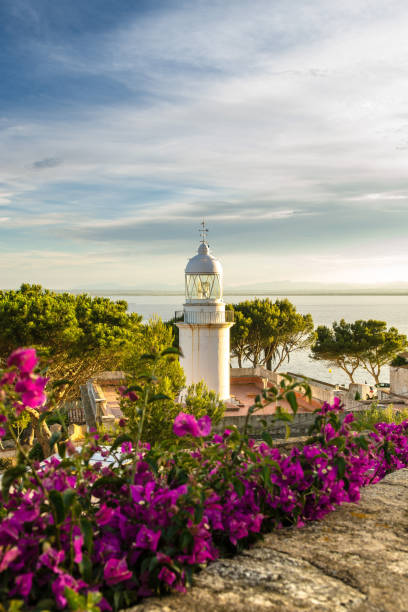 istock Lighthouse in Costa Brava Spain Europe 998806496