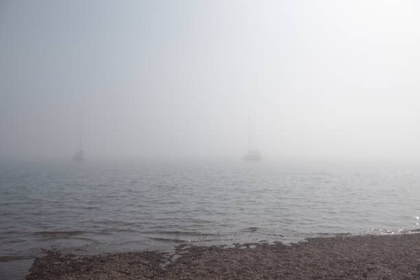 Lake, Minnesota, shore, fog
