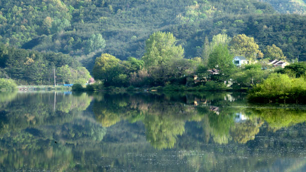 istock Trees and mountains reflection in the lake 998847954
