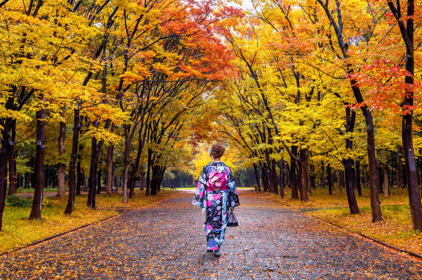 Asian woman wearing japanese traditional kimono in autumn park. Asian woman wearing japanese traditional kimono in autumn park. okayama prefecture stock pictures, royalty-free photos & images