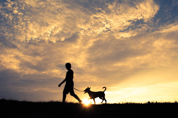 man or woman and Labrador retriever dog sunset by sea. owner and his pet are walking on beach. landscape of nature. silhouettes person background setting sun on ocean. tourism and outdoor recreation