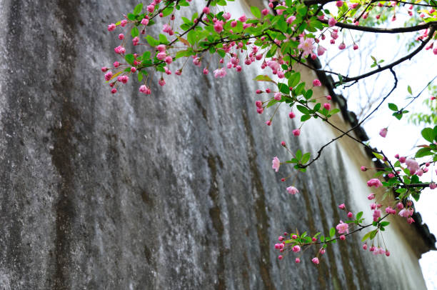 The Lingering Garden, Suzhou, China stock photo