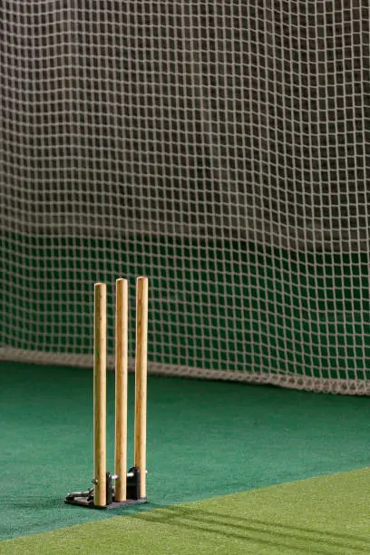 Photo of Cricket Practice Nets and Stumps