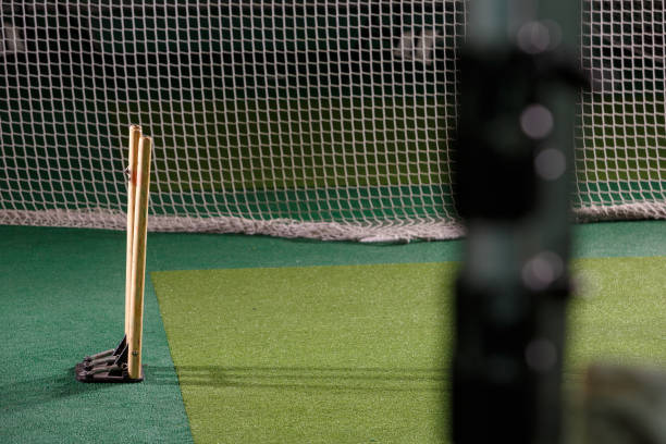 redes de práctica de cricket y tocones - sport of cricket practicing cricket player net fotografías e imágenes de stock