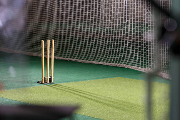redes de práctica de cricket y tocones - sport of cricket practicing cricket player net fotografías e imágenes de stock