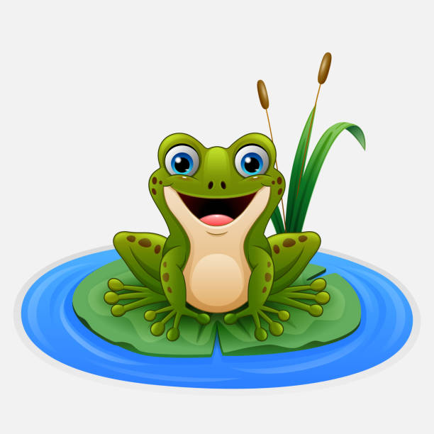 만화 개구리는 연못에서 잎에 - frog jumping pond water lily stock illustrations