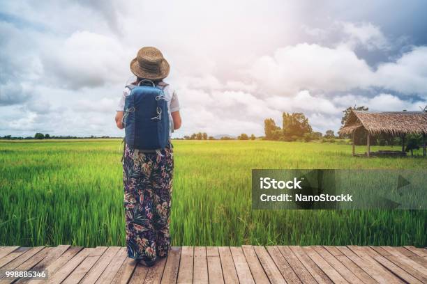 Frau Reisenden Asiatischen Reis Feld Landschaft Wandern Stockfoto und mehr Bilder von Japan