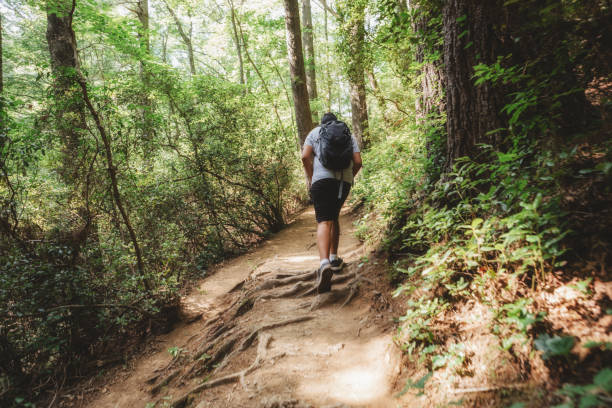 istock teenagers hiking on a trail 998908858