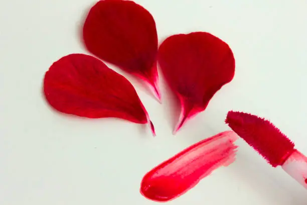 Photo of petals and lip gloss