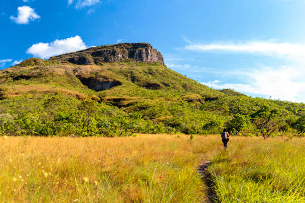 Young woman hiking at Chapada dos Veadeiros Young woman hiking at Chapada dos Veadeiros goias photos stock pictures, royalty-free photos & images