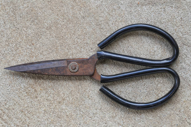 istock Old steel scissors placed on a concrete floor. 998919288