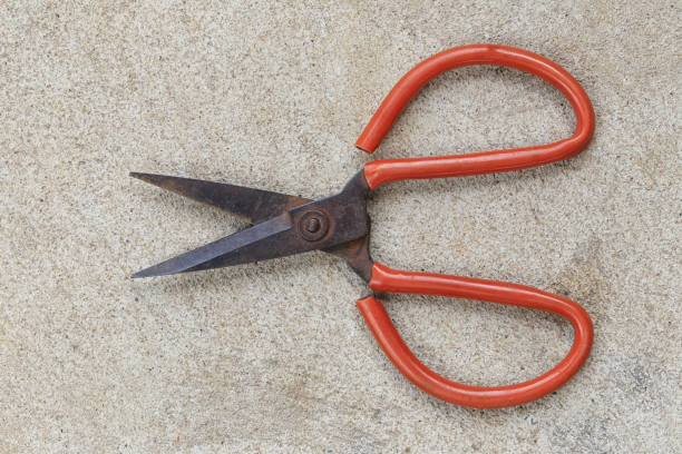 istock Old steel scissors placed on a concrete floor. 998920544
