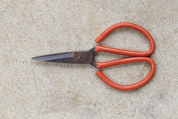 Old steel scissors placed on a concrete floor.