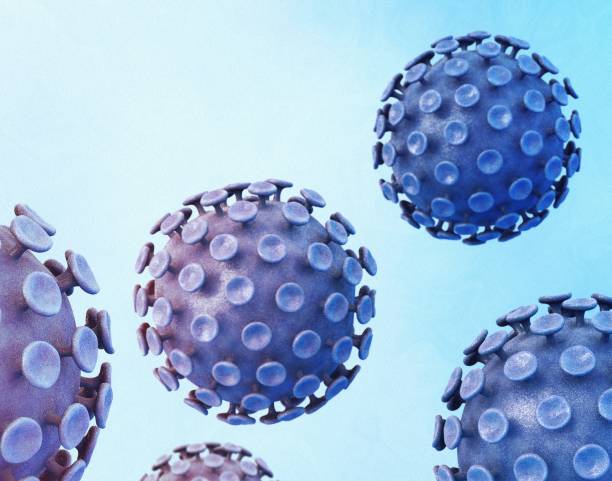 Human papillomaviruses HPV stock photo