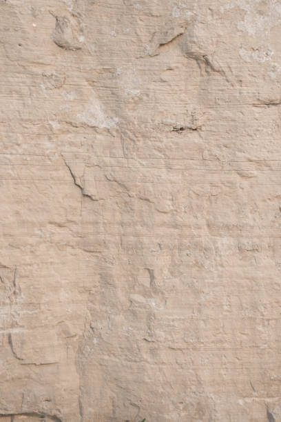 Wallpaper with limestone rock face showing weathered strata Geology background