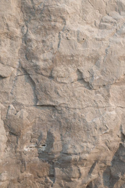 istock Wallpaper with limestone rock face showing weathered strata Geology background 998933746