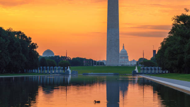 istock Washington Monument at Sunrise in Washington DC 998940794
