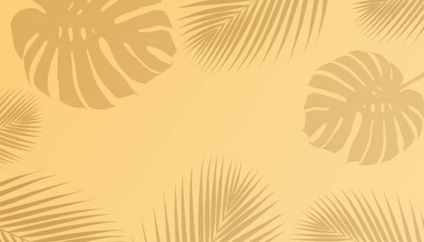 istock Tropical palm leaves and monstera shadow with copy space on pastel color background 998953682