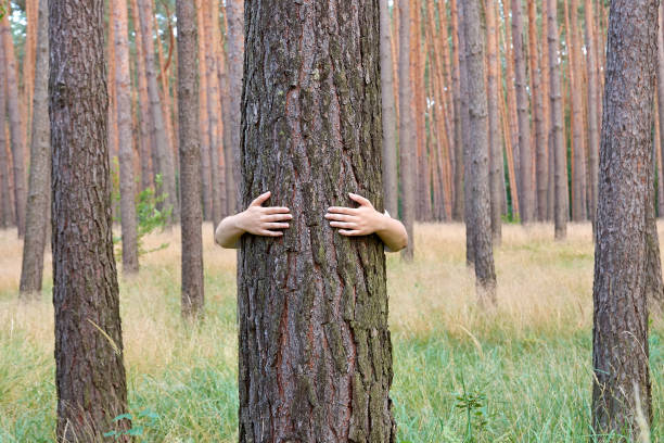 istock A young woman hugging a tree trunk in a forest 998954546