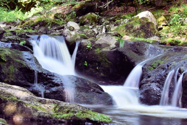 istock wild stream in the bavarian forest europe stones rocks 998961916