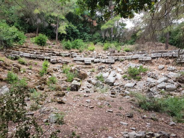 istock archeological Ruins in the forest 998969234