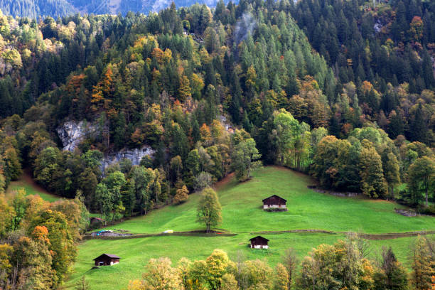 Mountain, Forests, and Villages in Lauterbrunne, Switzerland stock photo