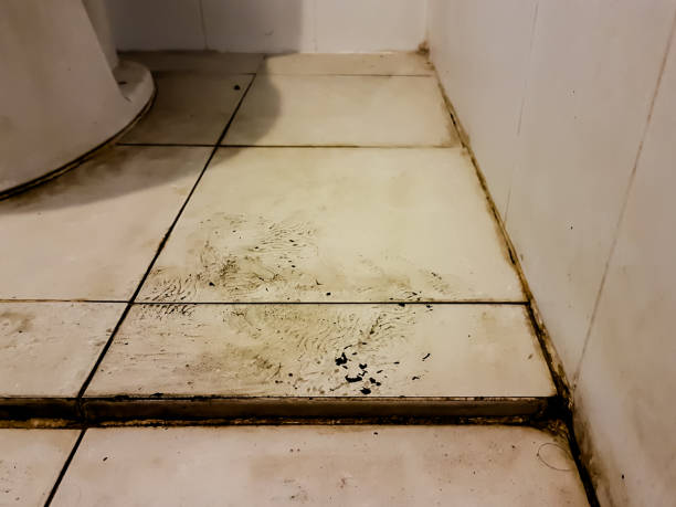 istock Dirty toilet floor 998996812