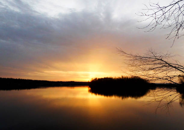 Unterbacher lake, in the outskirts of Düseldorf at dawn.\nIn black and white and color.