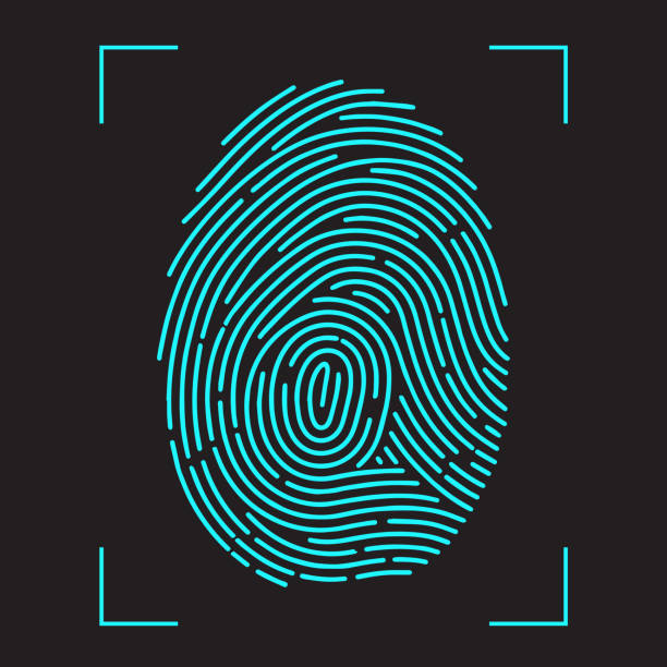 illustrazioni stock, clip art, cartoni animati e icone di tendenza di sistema di identificazione della scansione con stampa con le dita. - biometrics fingerprint identity flat bed scanner