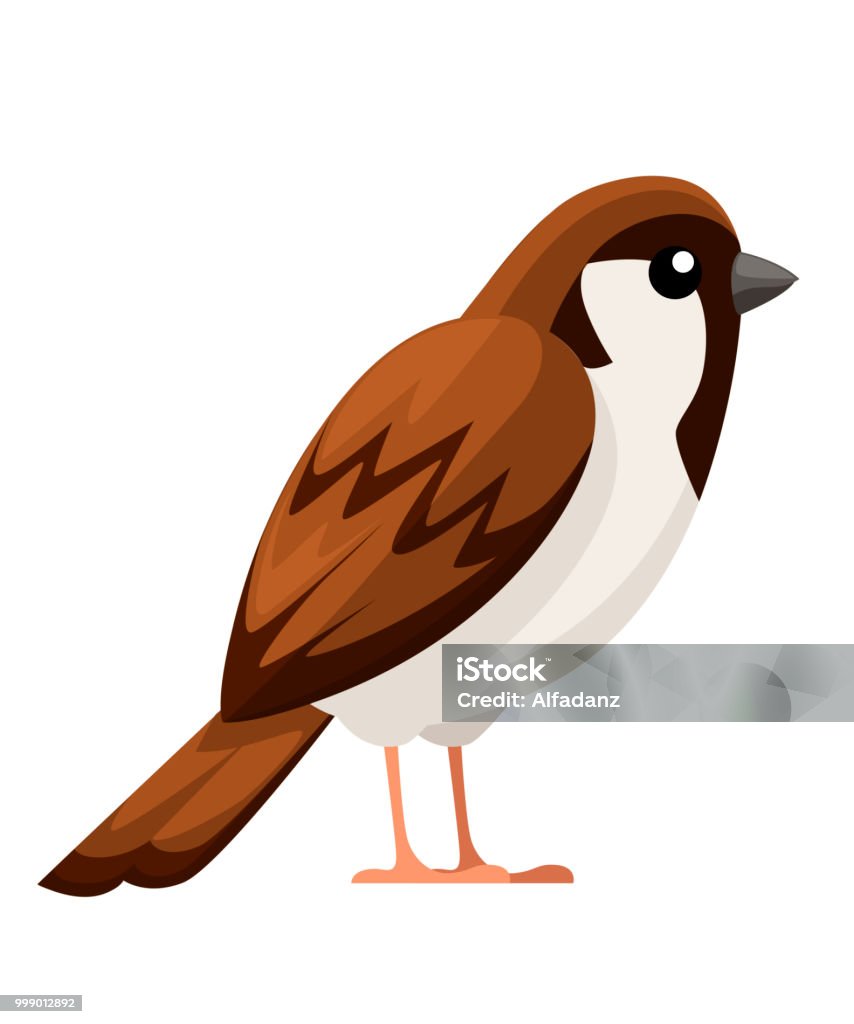 Sparrow Bird Flat Cartoon Character Design Colorful Bird Icon Cute Sparrow  For World Sparrow Day Vector Illustration Isolated On White Background  Stock Illustration - Download Image Now - iStock