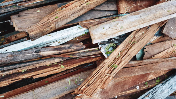 old wood chip.pile of old plank