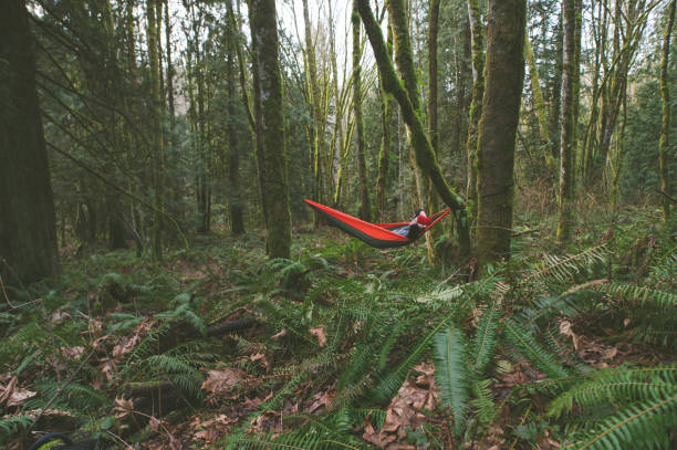 istock A young man relaxes in a hammock deep in the forest 999017582