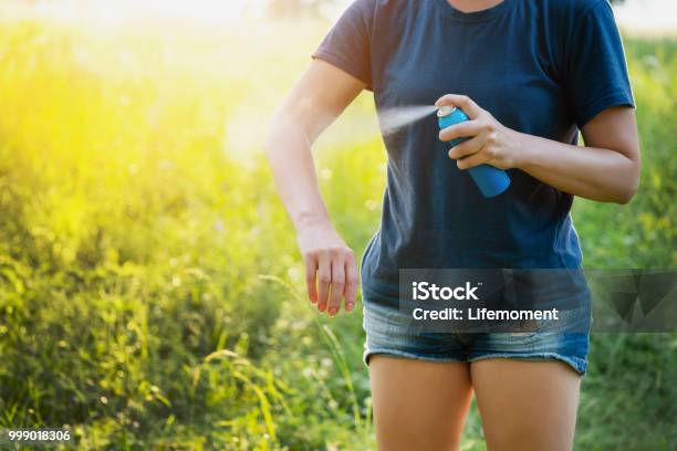 Woman Applying Insect Repellent Before Forest Hike Beautiful Summer Day Stock Photo - Download Image Now