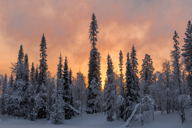 istock Winter in Lappland 999027324