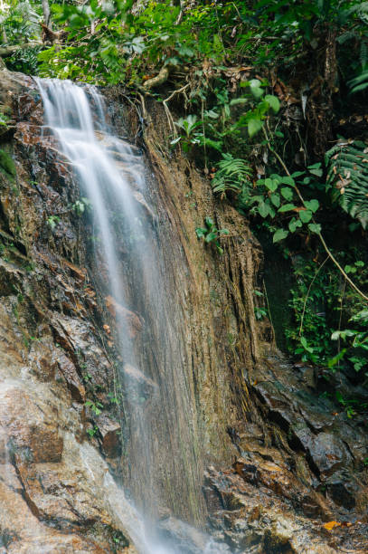 istock Tropical Rain forest and Waterfall in Malaysia 999030390