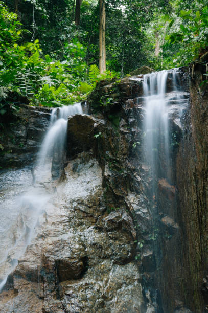 istock Tropical Rain forest and Waterfall in Malaysia 999030468