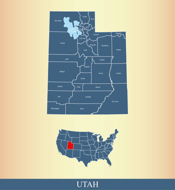 Utah county map vector outline with counties names labeled and USA map in blue background All counties have separate borders that are accurately prepared and are also selectable and editable. tooele stock illustrations