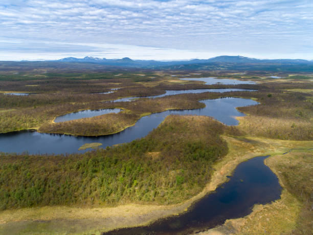 istock Green forest landscape with lakes and rivers 999064210