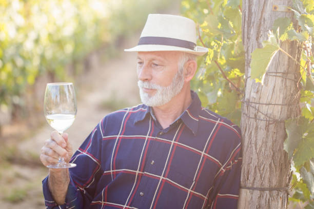 istock Senior vintner man in his vineyard 999070948