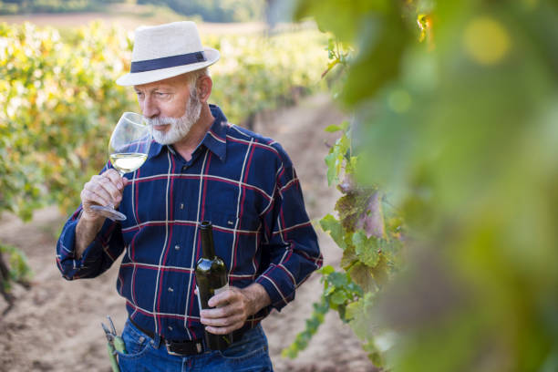 Senior man in his vineyard