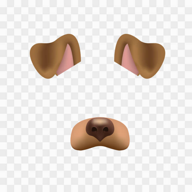 hund-gesichtsmaske für video-chat auf karierten hintergrund isoliert. tier charakter ohren und nase. 3d filterwirkung für selfie foto dekoration. brauner hund elemente. - isolated dog animal puppy stock-grafiken, -clipart, -cartoons und -symbole